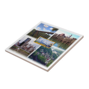 zUS019 WEST VIRGINIA, Mozaïek, Amerika, Tegeltje