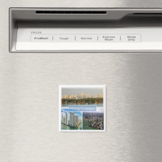 zUS038 MIAMI, FLORIDA, Mosaic, Amerika, Fridge Magneet (Insitu (Vaatwasser))