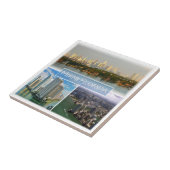 zUS038 MIAMI, FLORIDA, Mozaïek, Amerika, Tegeltje (Zijkant)