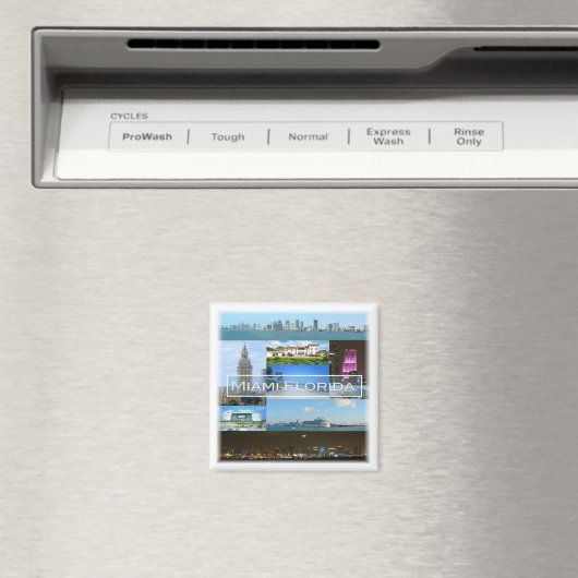 zUS040 MIAMI, FLORIDA, Mosaic, Amerika, Fridge Magneet (Insitu (Vaatwasser))