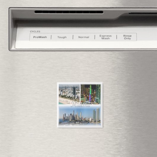 zUS053 MIAMI mosaic, Florida, America, Fridge Magneet (Insitu (Vaatwasser))