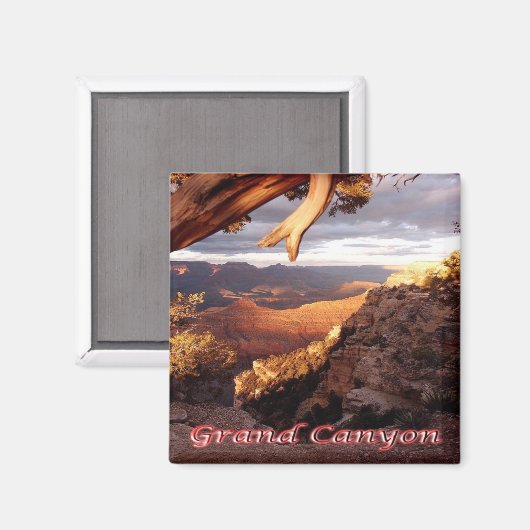 zUS136 GRAND CANYON National Park, Arizona, Fridge Magneet (Voorkant / Achterkant)