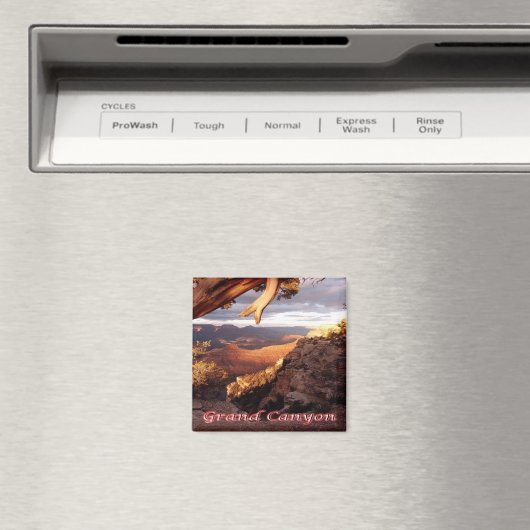 zUS136 GRAND CANYON National Park, Arizona, Fridge Magneet (Insitu (Vaatwasser))