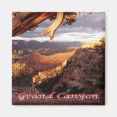 zUS136 GRAND CANYON National Park, Arizona, Fridge Magneet (Voorkant)
