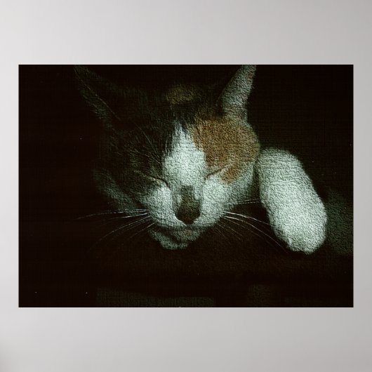 Zusje slapend op een kattentoren poster (Voorkant)