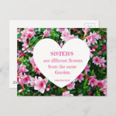 Zussen! Briefkaart (Voorkant / Achterkant)