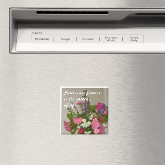 Zussen Magneet (Insitu (Vaatwasser))