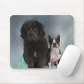 Zussen Muismat (Met muis)