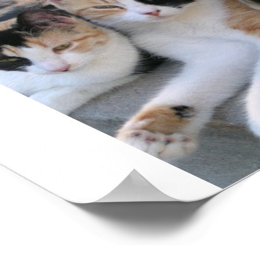 Zussen Poster (Hoek)