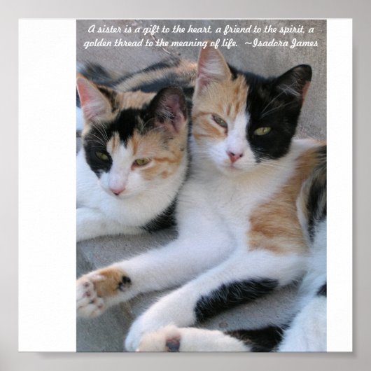 Zussen Poster (Voorkant)