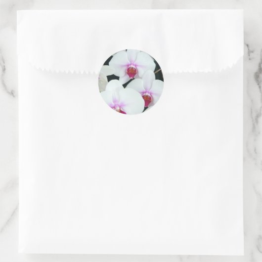 Zussen Ronde Sticker (Tas)