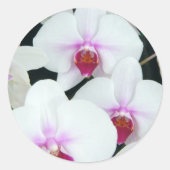 Zussen Ronde Sticker (Voorkant)