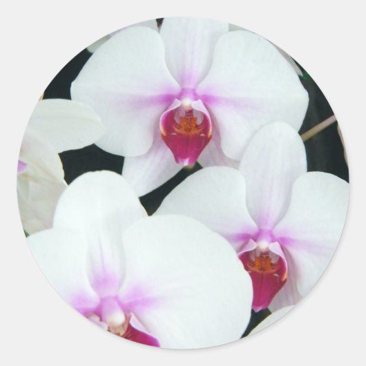 Zussen Ronde Sticker (Voorkant)