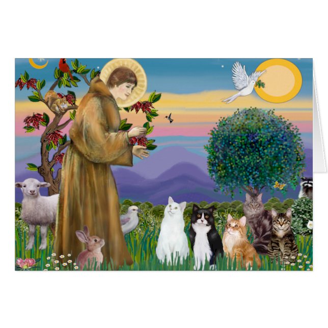 Zuster Frances die 5 katten zegent (Voorkant Horizontaal)