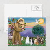 Zuster Frances die 5 katten zegent Briefkaart (Voorkant / Achterkant)