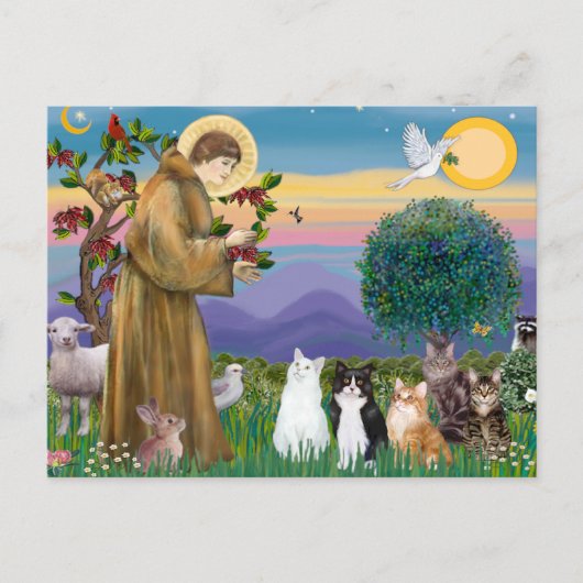 Zuster Frances die 5 katten zegent Briefkaart (Voorkant)