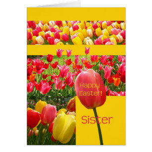 Zuster Happy Pap Tulip-kaart