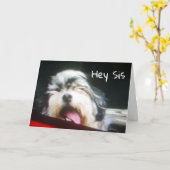 ZUSTER IK BEN ** HANGEN 'UIT OM GELUKKIGE VERJAARD KAART (Gele Bloem)