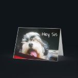 ZUSTER IK BEN ** HANGEN 'UIT OM GELUKKIGE VERJAARD KAART<br><div class="desc">DEZE PUP WIL JE HELPEN EEN ZEER "GELUKKIGE VERJAARDAG" TE ZEGGEN TEGEN JE ZUS!!!! IK HOU VAN DEZE KAART (EN MIJN ZUS LOL) EN IK HOOP DAT JIJ DAT OOK DOET. BEDANKT VOOR HET STOPPEN DOOR 1 VAN MIJN 8 WINKELS!!!</div>