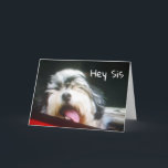 ZUSTER IK BEN ** HANGEN 'UIT OM GELUKKIGE VERJAARD KAART<br><div class="desc">DEZE PUP WIL JE HELPEN EEN ZEER "GELUKKIGE VERJAARDAG" TE ZEGGEN TEGEN JE ZUS!!!! IK HOU VAN DEZE KAART (EN MIJN ZUS LOL) EN IK HOOP DAT JIJ DAT OOK DOET. BEDANKT VOOR HET STOPPEN DOOR 1 VAN MIJN 8 WINKELS!!!</div>