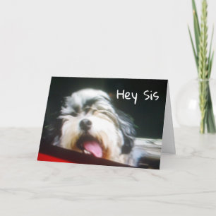 ZUSTER IK BEN ** HANGEN 'UIT OM GELUKKIGE VERJAARD KAART