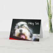 ZUSTER IK BEN ** HANGEN 'UIT OM GELUKKIGE VERJAARD KAART (Voorkant)