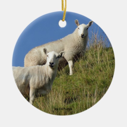 Zuster Sheep Ornament (Voorkant)