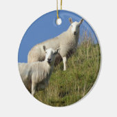 Zuster Sheep Ornament (Links)
