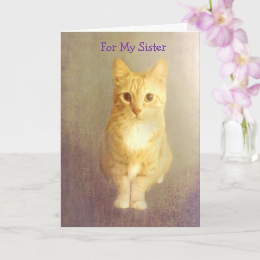 Zusterkanker ondersteuning Schattigee kat Kaart (Orchidee)