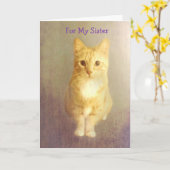 Zusterkanker ondersteuning Schattigee kat Kaart (Gele Bloem)