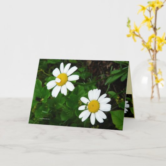 Zusters Kaart (Gele Bloem)