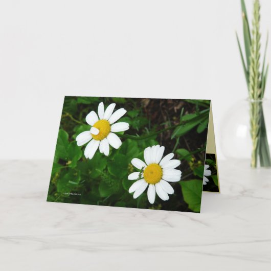 Zusters Kaart (Voorkant)