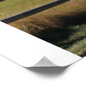 Zusters, Oregon Mountain Range Poster (Hoek)