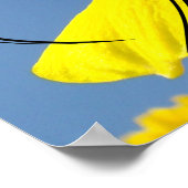 Zuster's Week oosters Dank je wel Poster (Hoek)