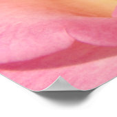 Zuster's Week posters Roze Roze Roze Roze Onze ver (Hoek)