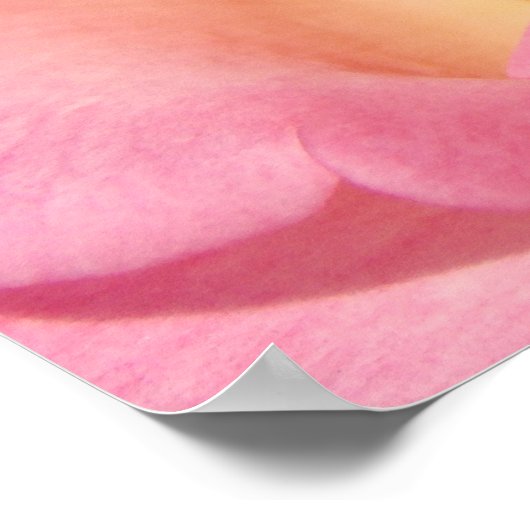 Zuster's Week posters Roze Roze Roze Roze Onze ver (Hoek)