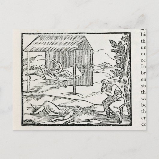 Zuur van de Zick, bloedverwanten van Hispaniola Briefkaart (Voorkant)