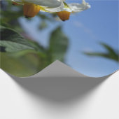 Zuurbloemen Solanum tuberosum Cadeaupapier (Hoek)