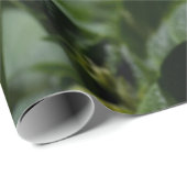 Zuurbloemen Solanum tuberosum Cadeaupapier (Rol Hoek)