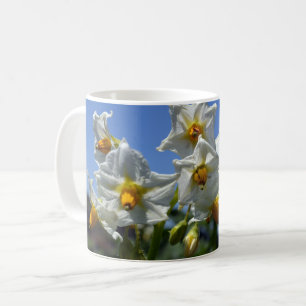 Zuurbloemen Solanum tuberosum Koffiemok