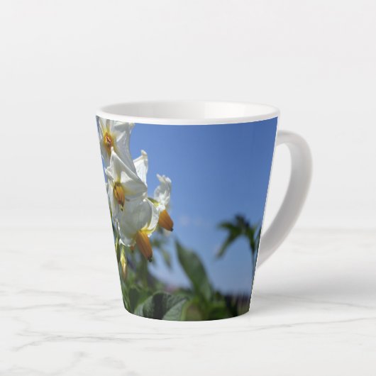 Zuurbloemen Solanum tuberosum Latte Mok (Rechterhoek)