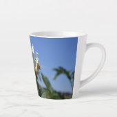 Zuurbloemen Solanum tuberosum Latte Mok (Rechts)