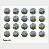 Zuurbloemen Solanum tuberosum Ronde Sticker (Vel)