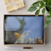 Zuurbloemen Solanum tuberosum Tissuepapier (Geschenk)