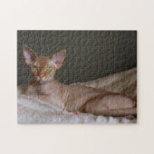 Zuurloze sfinx kat legpuzzel (Horizontaal)