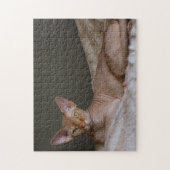 Zuurloze sfinx kat legpuzzel (Verticaal)