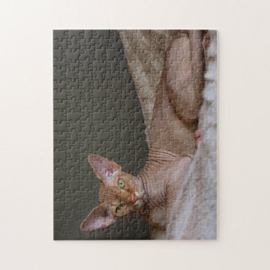 Zuurloze sfinx kat legpuzzel (Verticaal)