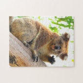 ZWAAIEN KOALA 11x14 INCH Legpuzzel (Horizontaal)