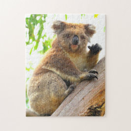 ZWAAIEN KOALA 11x14 INCH Legpuzzel