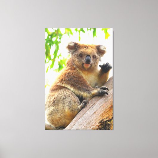 ZWAAIEN KOALA 32x48 Canvas Afdruk (Voorkant)